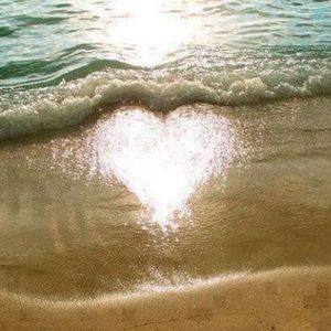 Meet your Posher, Rachelle